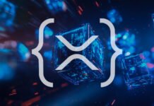 The scorecard for an XRP investment thesis that separates Ripple licensing from XRPL utility signals